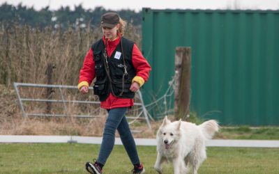 NK Gedrag en Gehoorzaamheid