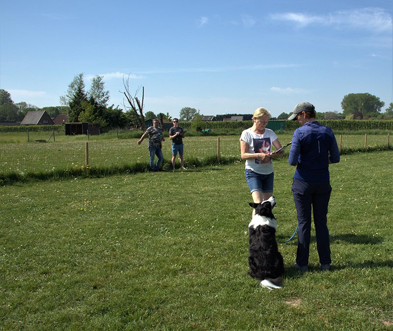 Wil jij het FHN team komen versterken?