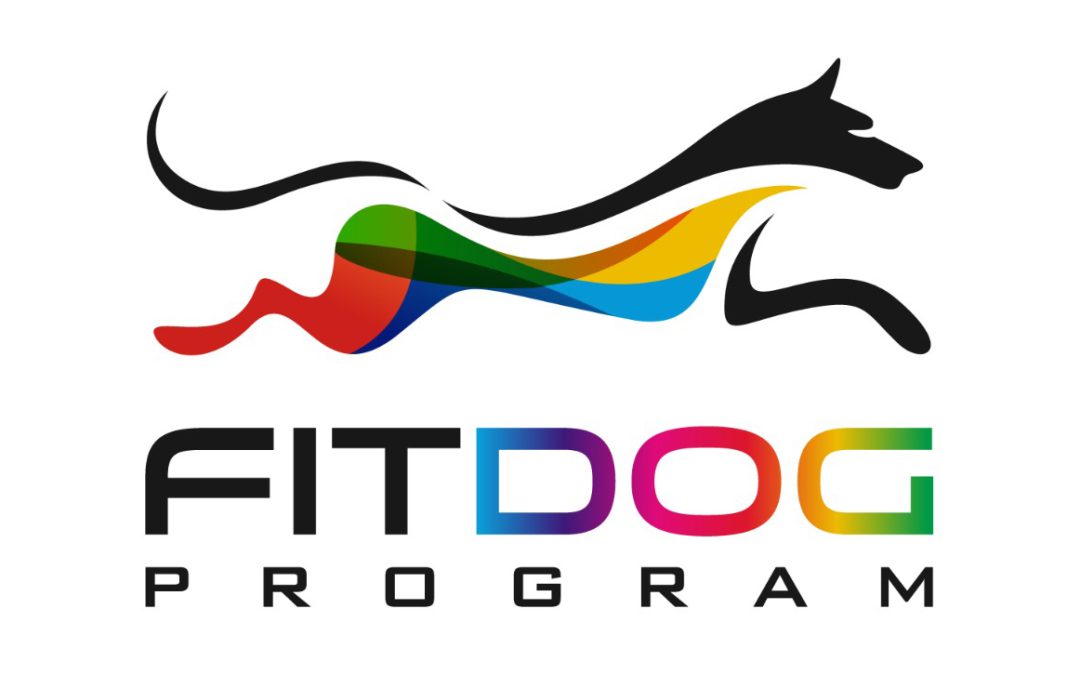 Fit het nieuwe jaar in!